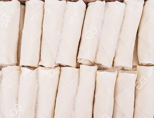 Spring Roll IQF Freezer