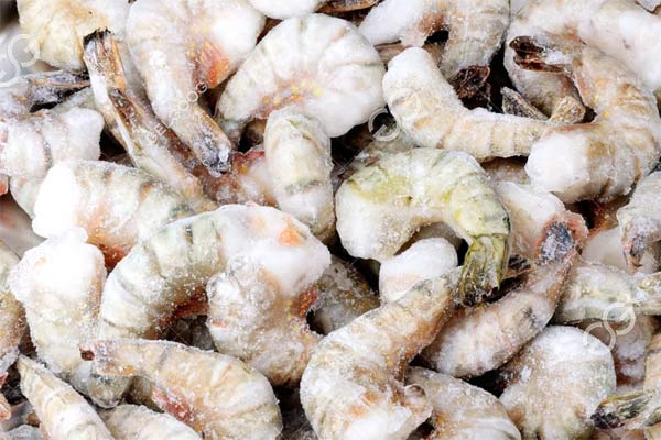 Freezer Machine for Seafood