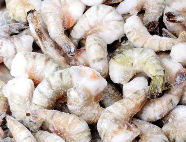 How to Choose a Seafood Freezer - Operation Guide