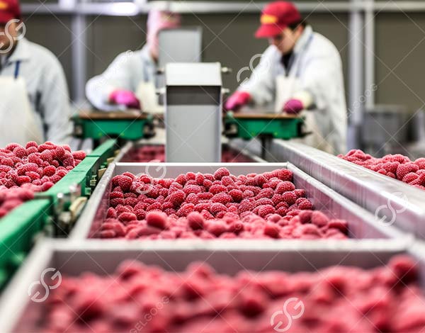 What is an Efficiency Machine that Keeps Food Frozen?