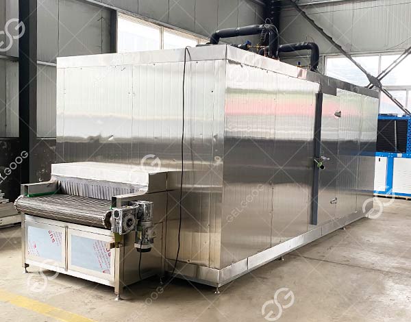 Freezing Equipment Revolutionizes Food Processing in Peru