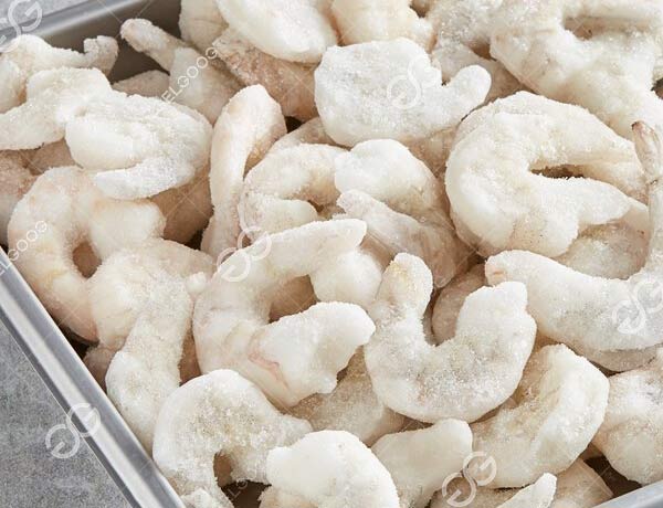 Shrimp Freezer