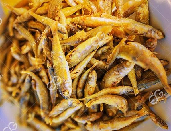 Fish Fryer Machine