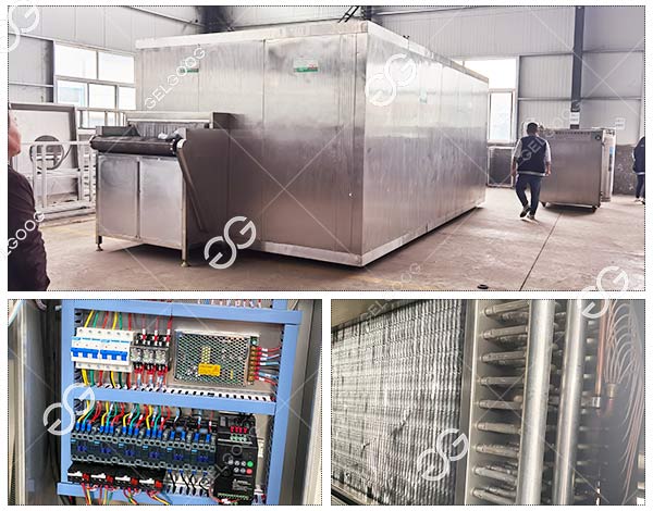 Tips for Choosing Right IQF Freezer for Your Business