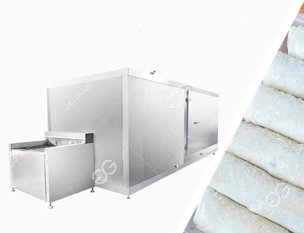 Industrial Lumpia Freezer